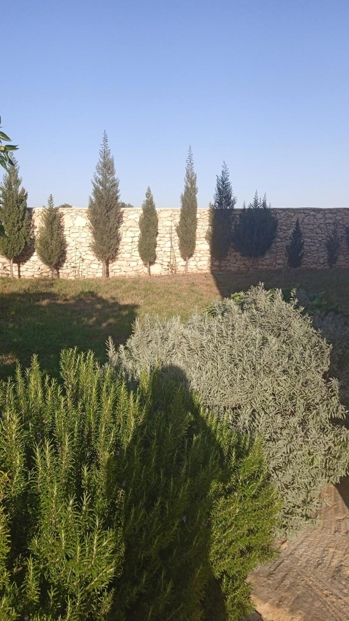 Villa Rabia Sidi Kaouki Extérieur photo