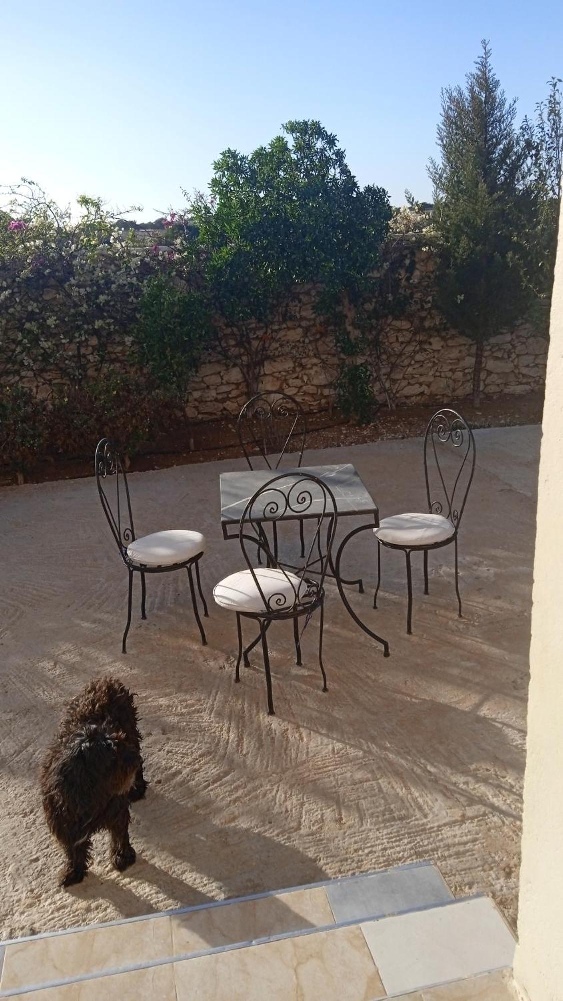 Villa Rabia Sidi Kaouki Extérieur photo